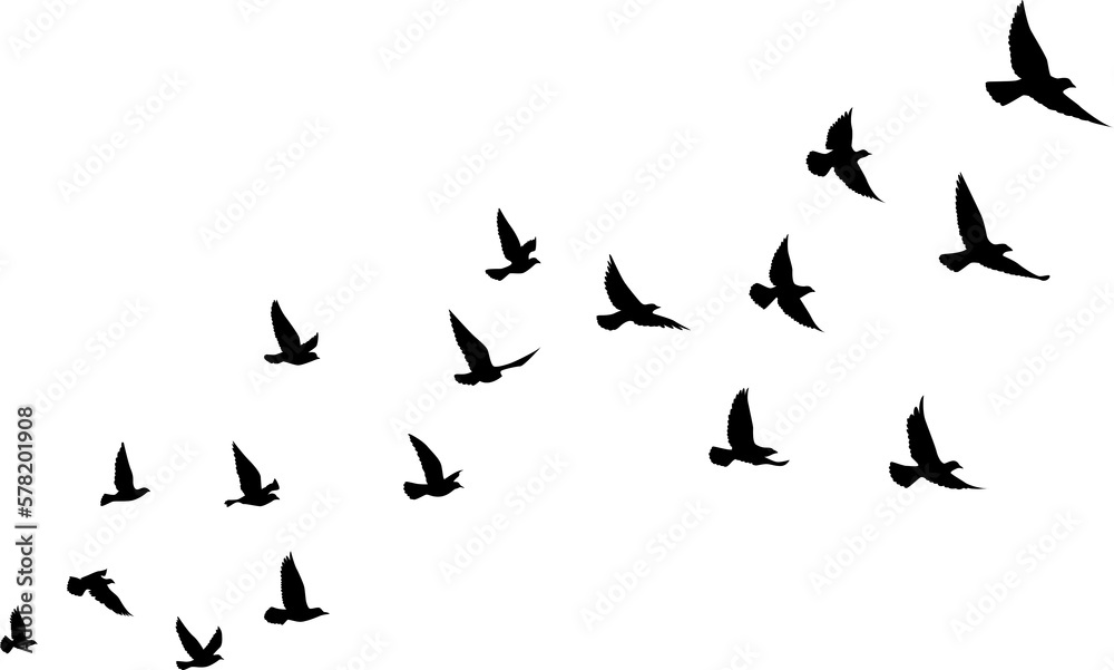 Black vector flying birds flock silhouettes isolated on white background. symbol tattoo design graphic.