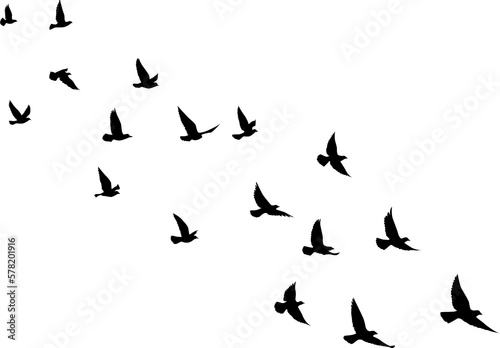 Black vector flying birds flock silhouettes isolated on white background. symbol tattoo design graphic. © SeemaLotion
