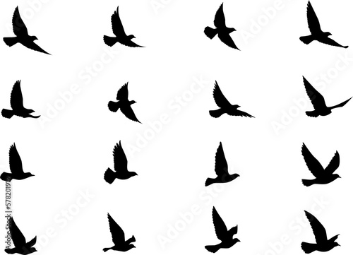 Black vector flying birds flock silhouettes isolated on white background. symbol tattoo design graphic.