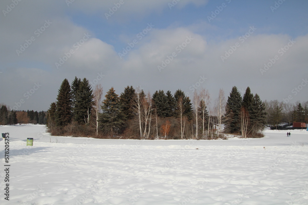 Fototapeta premium March Snow, William Hawrelak Park, Edmonton, Alberta