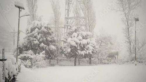 Heavy Snowfalli Kashmir Valley in Winter Days photo