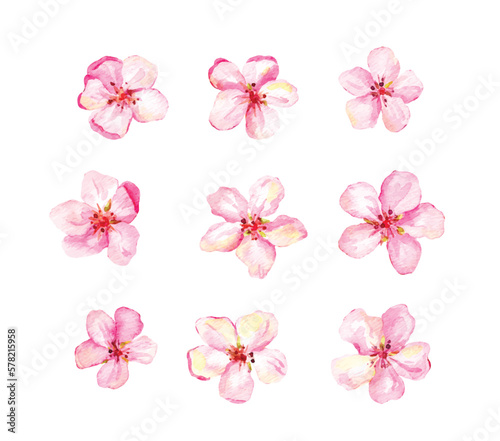 Set of cherry blossom, apple, sakura elements. Watercolor collection of spring pink flowers and leaves. Water paint vector floral elements illustration bundle 