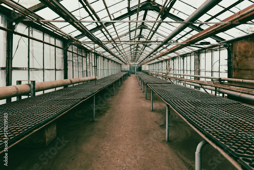 Empty molds for seedlings inside the greenhouse.