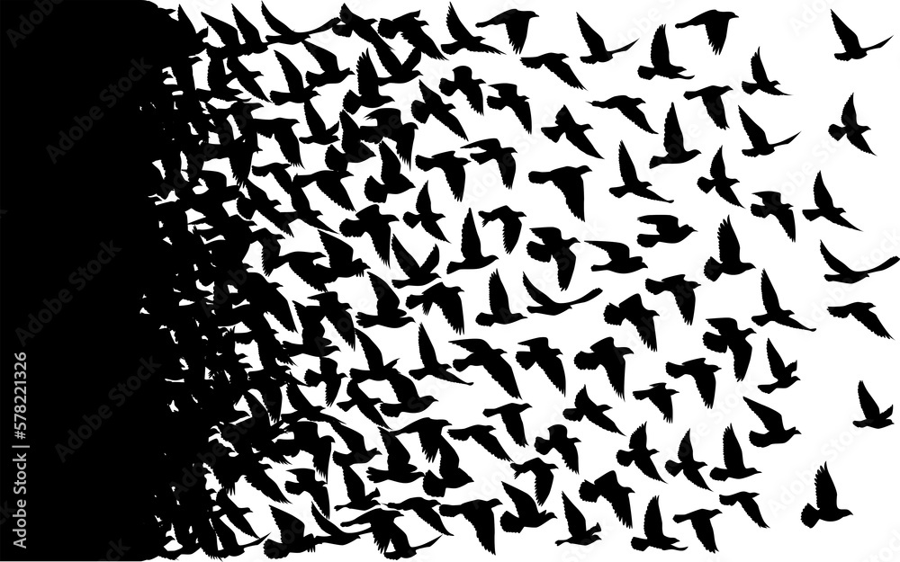 Flying birds silhouettes pattern wallpaper. PNG transparent. isolated bird flying. tattoo design. template for card, package, and wallpaper.