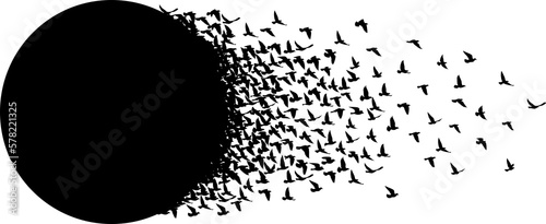 Flying birds silhouettes pattern wallpaper. PNG transparent. isolated bird flying. tattoo design. template for card, package, and wallpaper.
