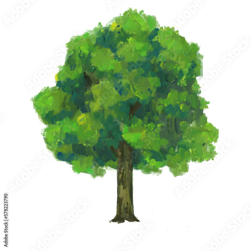 Tree isolated background. Green plant paint illustration.