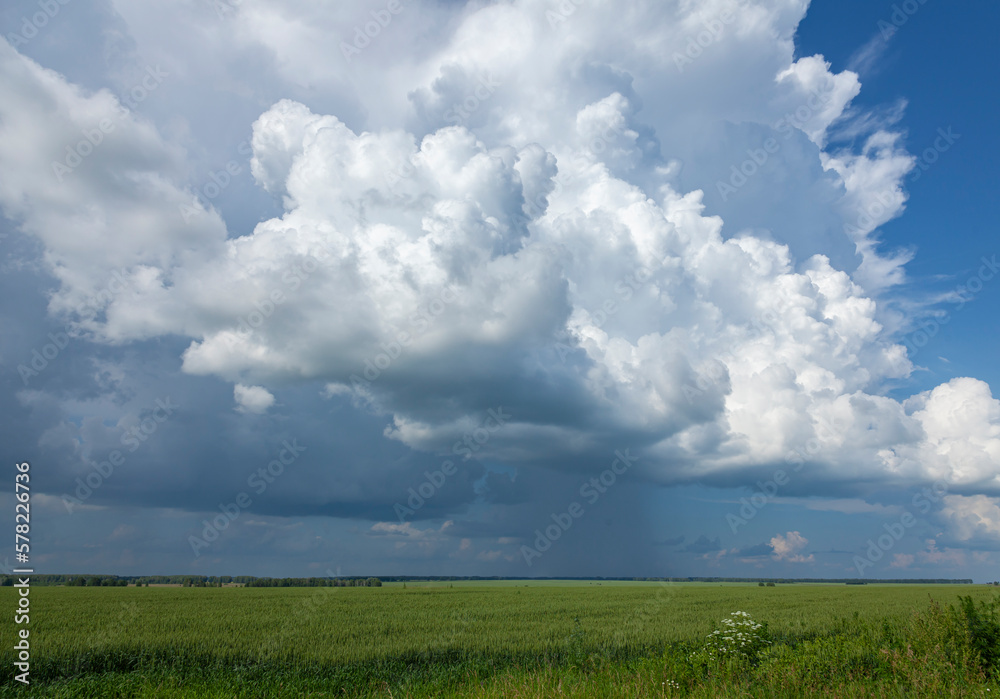 Big white clouds over a green meadow and blue sky.
Panoramic view of a large rain cloud and an agricultural field. Big white clouds over a green meadow and blue sky.
Panoramic view of a large rain cloud and an agricultural field.