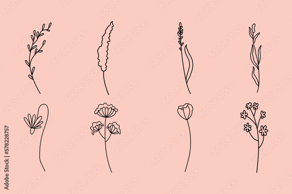 Wildflower hand drawn, wildflower line, logo flowers line, hand drawn floral elements.