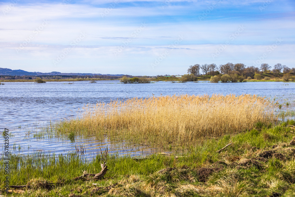 Wetland landscape view at spring