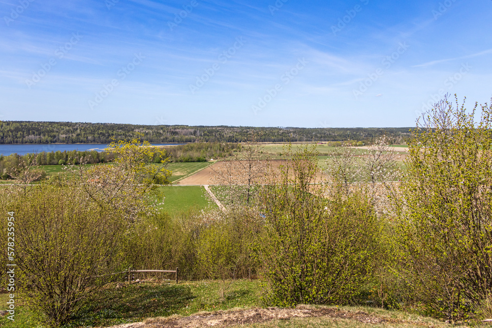 Landscape view of a valley with leafing leaves in spring