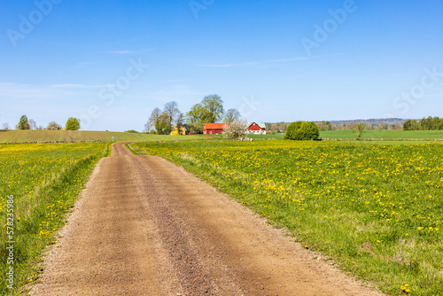 Gravel road to a farm in a beautiful rural landscape