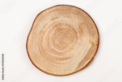 Foto wood slice of beech with annual rings on white background.