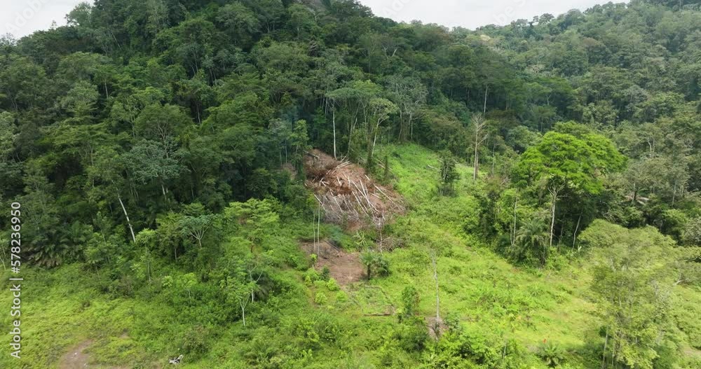 Aerial zoom in. Slash and burn subsistence farming in a tropical rainforest. Climate Change.Deforestation Aerial zoom in. Slash and burn subsistence farming in a tropical rainforest. Climate Change.Deforestation