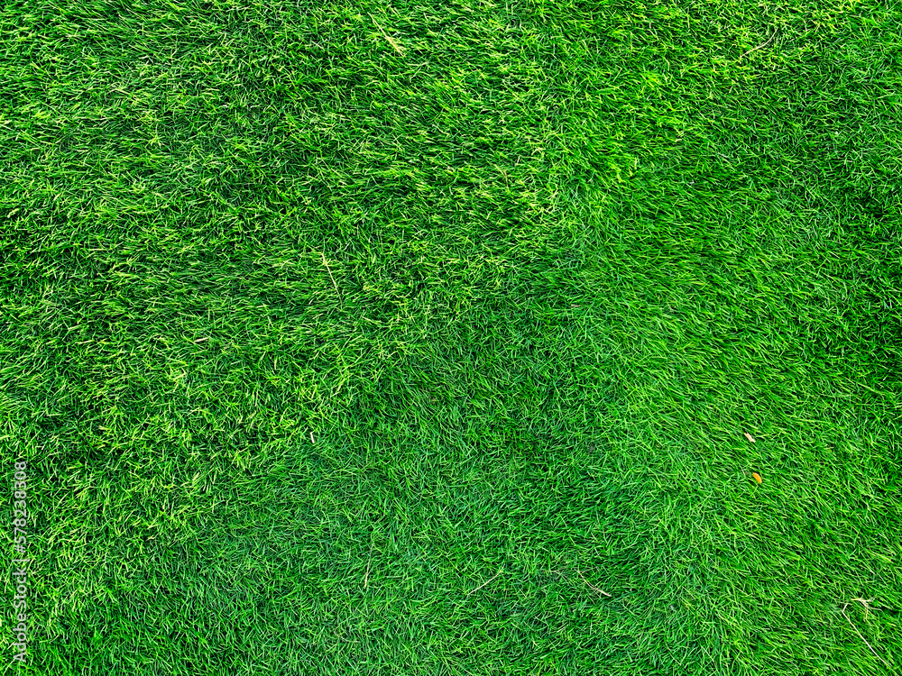 Obraz premium detailed close up of green grass background. without people