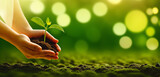 Climate and nature: two hands hold a small plant above ground. The background is light green. Ideal for text as banner, header or wallpaper. Copy text and blank space.