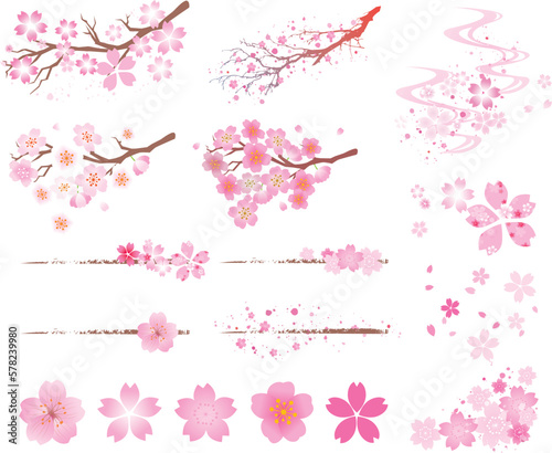 桜　春　花びら　和風　背景 