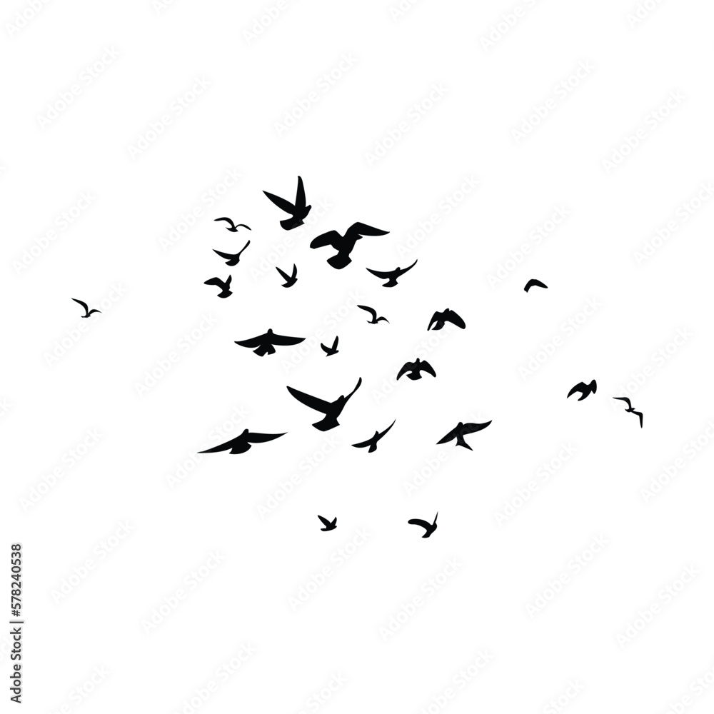 flock of birds silhouette in flight flock of birds silhouette in flight