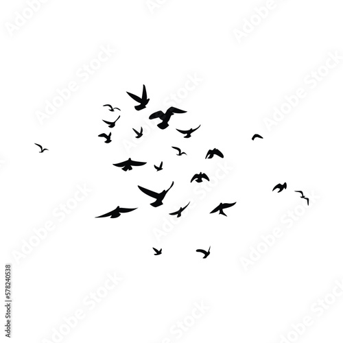 flock of birds silhouette in flight © DASAPart