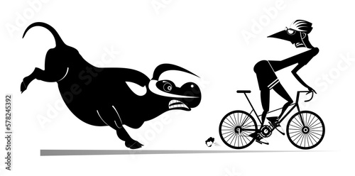 Angry bull and cyclist man. Frightened cyclist man escapes from the angry bull. Black and white illustration 