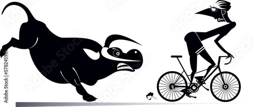 Angry bull and cyclist man. 
Frightened cyclist man escapes from the angry bull. Black and white illustration
