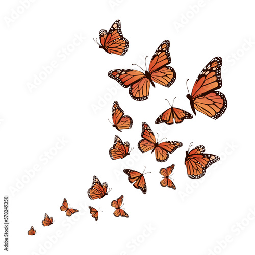 realistic background butterfly vector illustration design