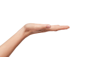 woman's hand holding something