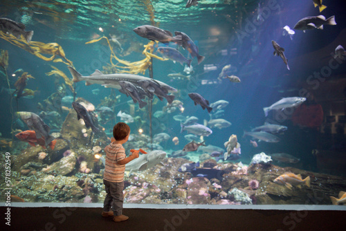 Boy looking upward at coral and fish in a large aquarium tank photo