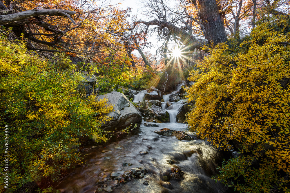 Mountain stream with waterfalls. During autumn Mountain stream with waterfalls. During autumn