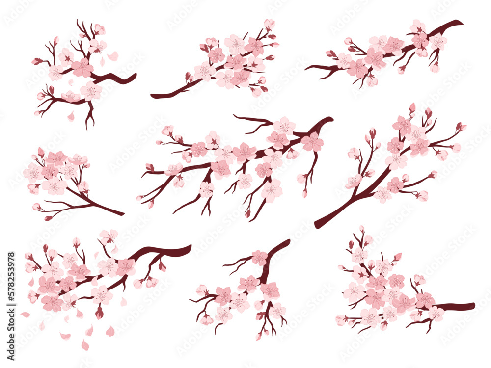 Cherry blossom branches. Japanese blooming trees, sakura flowers spring decor vector illustration set