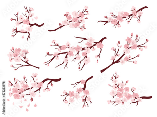 Cherry blossom branches. Japanese blooming trees, sakura flowers spring decor vector illustration set © WinWin