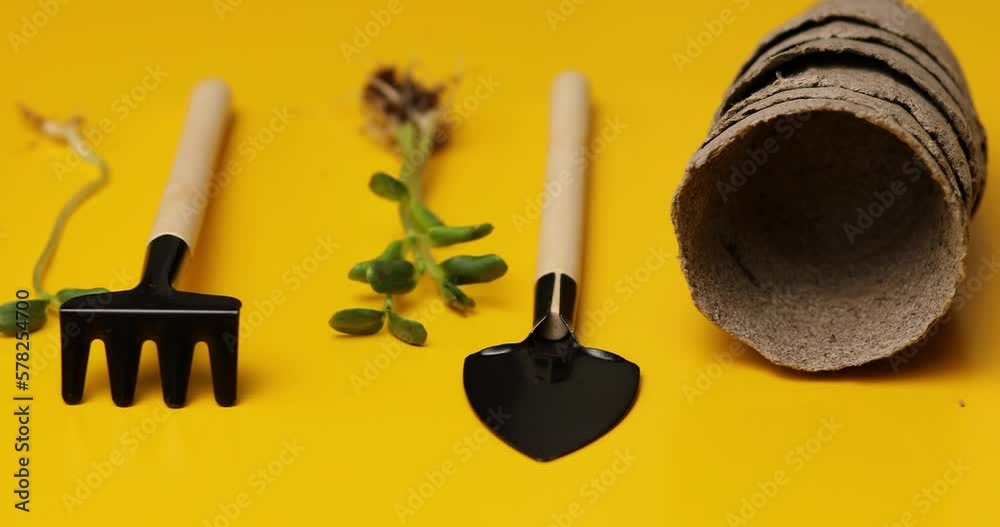Rotation peat pots, gardening tools and greens on yellow background, Spring garden works concept