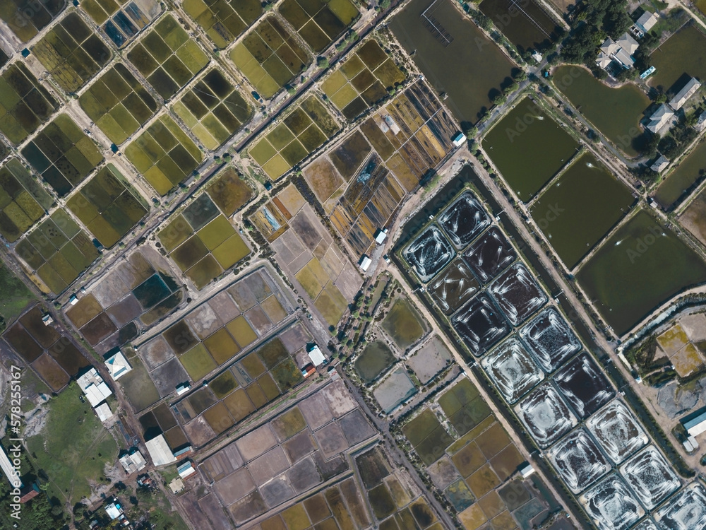 Aerial view of salt lakes and shrimp farm Aerial view of salt lakes and shrimp farm