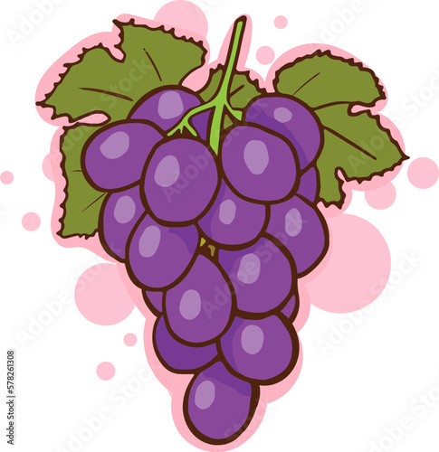 image of grape cartoon vector