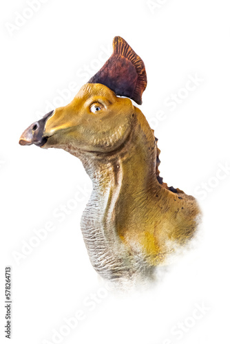 The head of Olorotitan , dinosaur on isolated background .