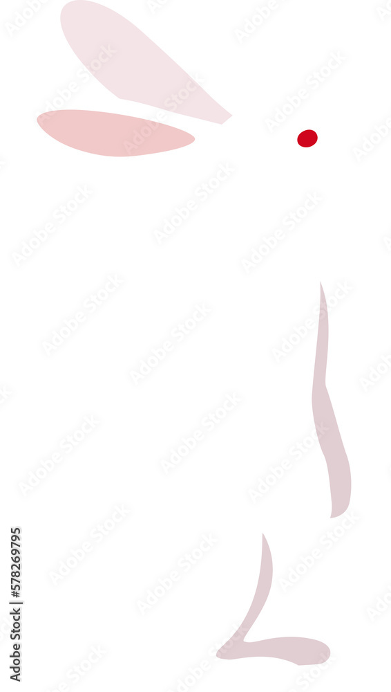 Fototapeta premium Standing red-eyed white rabbit