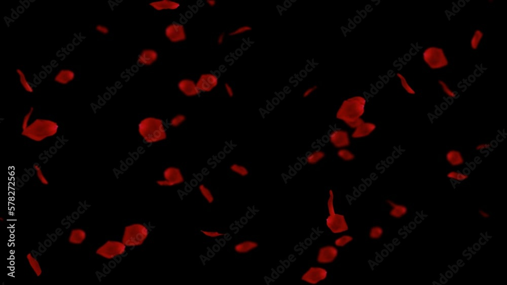 Red rose petals flying from the right side of the frame