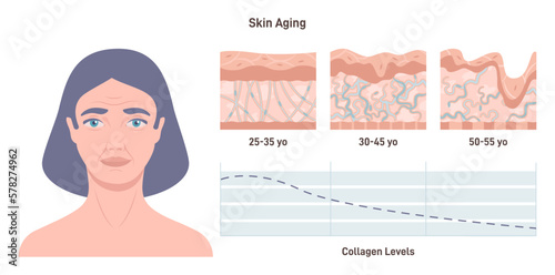 Aging process and the reduction of collagen levels in the skin. Close-up female photo