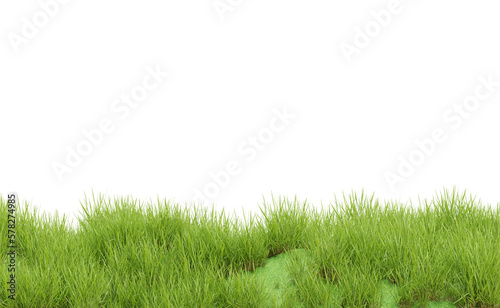Grass plant on transparent background, nature meadow, 3d render illustration.