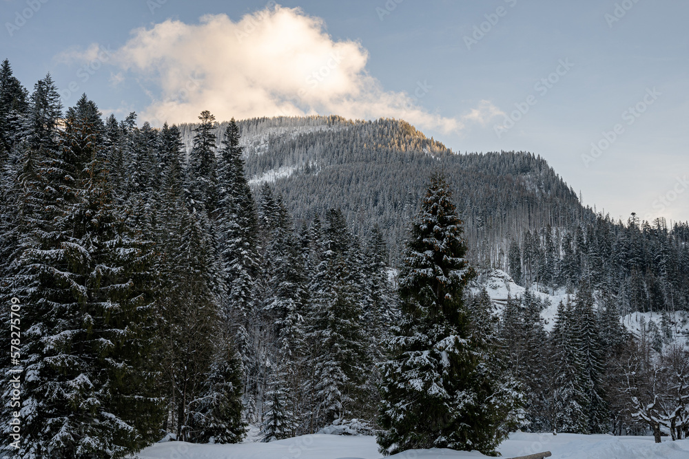 View of the Tatra Mountains in winter from Koscieliska Valley. Sunny weather during a hike in the mountains. View of the Tatra Mountains in winter from Koscieliska Valley. Sunny weather during a hike in the mountains.