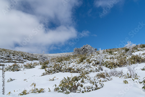 Wallpaper Mural 雪景色の富士見台高原 Torontodigital.ca