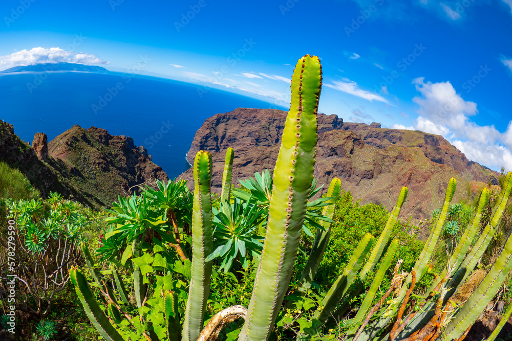 Beautiful landscape of the cliffs and mountains of Los Gigantes in the canary Islands during springtime