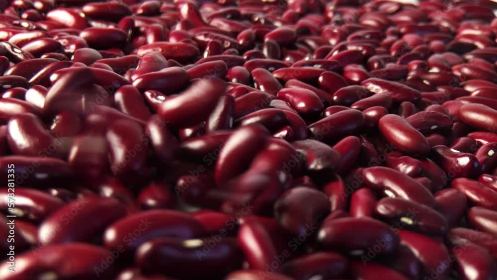 Close-up. Red beans are poured bitterly. The use of natural red beans for the preparation of dietary dishes.