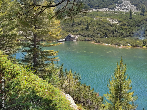 Karkamski Lake, Bulgaria, Pirin mountains pine trees forest, summer landscape photo