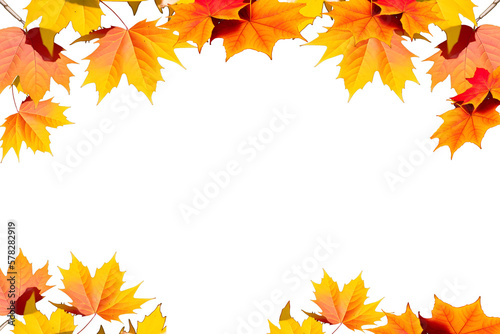 Autumn s Finest  Transparent Fall Leaves PNG Design