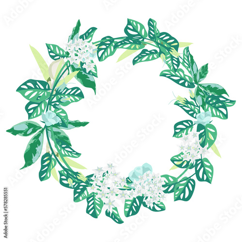 a green leaves with floral frame isolated on transparency background