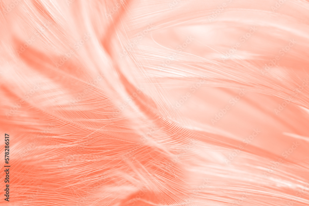 White orange feather texture pattern background White orange feather texture pattern background