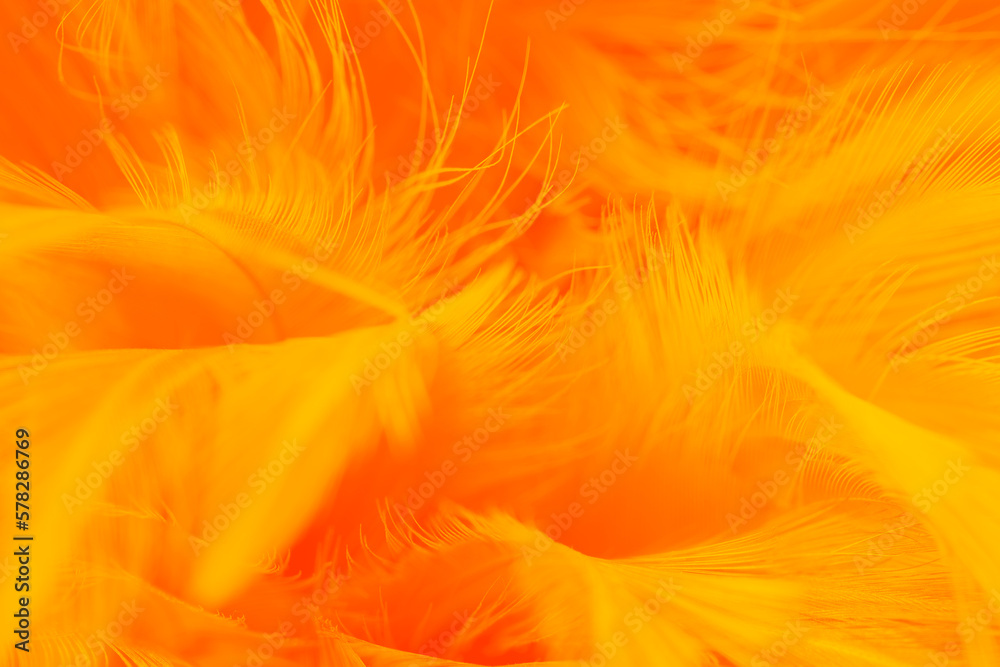 orange feather texture pattern background