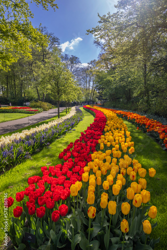 Fototapeta Naklejka Na Ścianę i Meble -  Keukenhof flower garden - largest tulip park in world, Lisse, Netherlands
