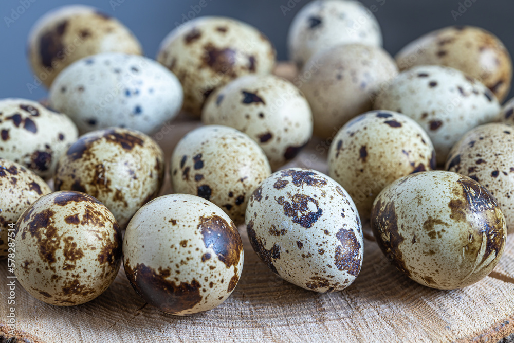 Easter quail eggs. Spring background with small easter quail eggs. Vintage photo processing Easter quail eggs. Spring background with small easter quail eggs. Vintage photo processing