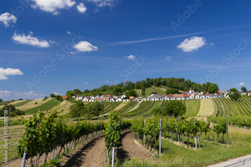Traditional wine cellars with vineyard in Galgenberg near Wildendurnbach  Lower Austria  Austria